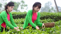 Quy địnhFestival Nông sản, sản phẩm OCOP làng nghề - gắn kết du lịch - Thái Nguyên năm 2023 chính sách hỗ trợ đầu tư Nhà văn hóa - Khu thể thao xóm, tổ dân phố trên địa bàn tỉnh Thái Nguyên giai đoạn 2023 – 2025
