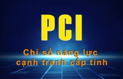 Thực hiện các nhiệm vụ, giải pháp cải thiện môi trường đầu tư kinh doanh, nâng cao chỉ số năng lực cạnh tranh cấp tỉnh (PCI) năm 2024