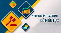 19 Nghị định có hiệu lực thi hành từ ngày 01/3/2025