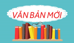 12 Sep 2024 091110 GMThình nền văn bản mới