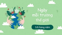 Hưởng ứng Ngày Môi trường Thế giới  và Tháng hành động vì môi trường năm 2025