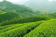Đại Từ 2
