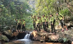 Tăng cường công tác bảo vệ, phát triển rừng gắn với thực hiện Luật Lâm nghiệp 2017
