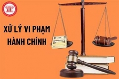 Hình thức kỷ luật khi có hành vi vi phạm trong thi hành pháp luật   về xử lý vi phạm hành chính