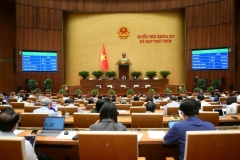 Các đại biểu Quốc hội biểu quyết thông qua dự án Luật sửa đổi, bổ sung một số điều của Bộ luật Hình sự.