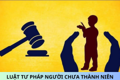 Tư pháp