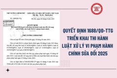 Chính phủ chỉ đạo triển khai Luật sửa đổi, bổ sung một số điều của Luật Xử lý vi phạm hành chính