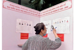 Bộ Nội vụ: Khen thưởng cao cho các cấp chính quyền có tỷ lệ cử tri đi bầu cử đạt từ 98% trở lên