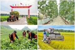 Triển khai chính sách tín dụng phục vụ phát triển nông nghiệp, nông thôn