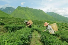 bìa miền núi