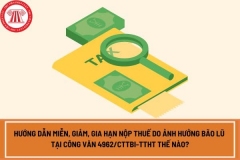 Hướng dẫn thực hiện các chính sách miễn, giảm, gia hạn thuế, phí, lệ phí cho tổ chức, cá nhân, doanh nghiệp tổ thất do gặp thiên tai