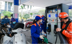 Kéo dài thời hạn áp dụng của Nghị định số 72/2026/NĐ-CP đến hết ngày 30/6/2026
