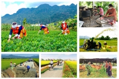 Hướng dẫn thực hiện một số nội dung Chương trình mục tiêu quốc gia xây dựng nông thôn mới, giảm nghèo bền vững và phát triển kinh tế - xã hội vùng đồng bào dân tộc thiểu số và miền núi giai đoạn 2026-2030 thuộc Bộ Nông nghiệp và Môi trường