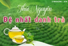 Chính sách hỗ trợ ngành chè Thái Nguyên – Tăng cường truyền thông kích cầu chính sách