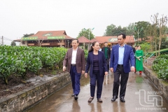 Chính sách hỗ trợ ngành chè Thái Nguyên – Truyền thông kích cầu chính sách