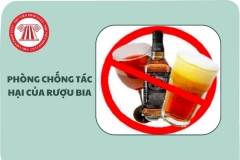 Tờ gấp Một số quy định của pháp luật về phòng, chống tác hại của rượu, bia