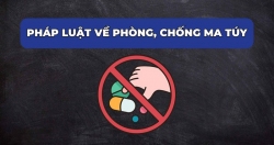 bìa tờ gấp pcmt