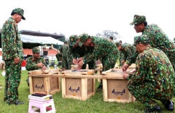 TÌM HIỂU MỘT SỐ QUY ĐỊNH CỦA PHÁP LUẬT VỀ QUẢN LÝ, SỬ DỤNG PHÁO