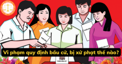 Vi phạm hành chính về bầu cử và việc áp dụng các nghị định xử phạt liên quan