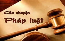 Câu chuyện pháp luật: Kết nối việc làm - Đúng luật để không mất cơ hội