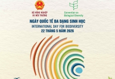 Ngày Quốc tế đa dạng sinh học năm 2026
