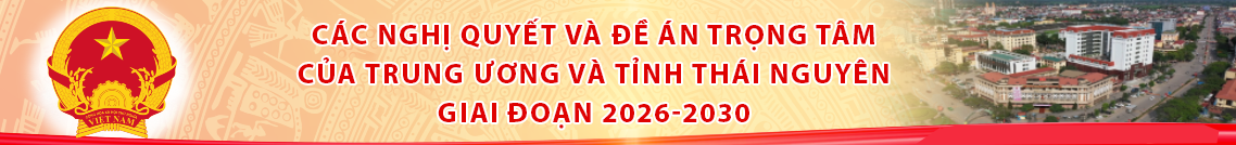 Bầu cử
