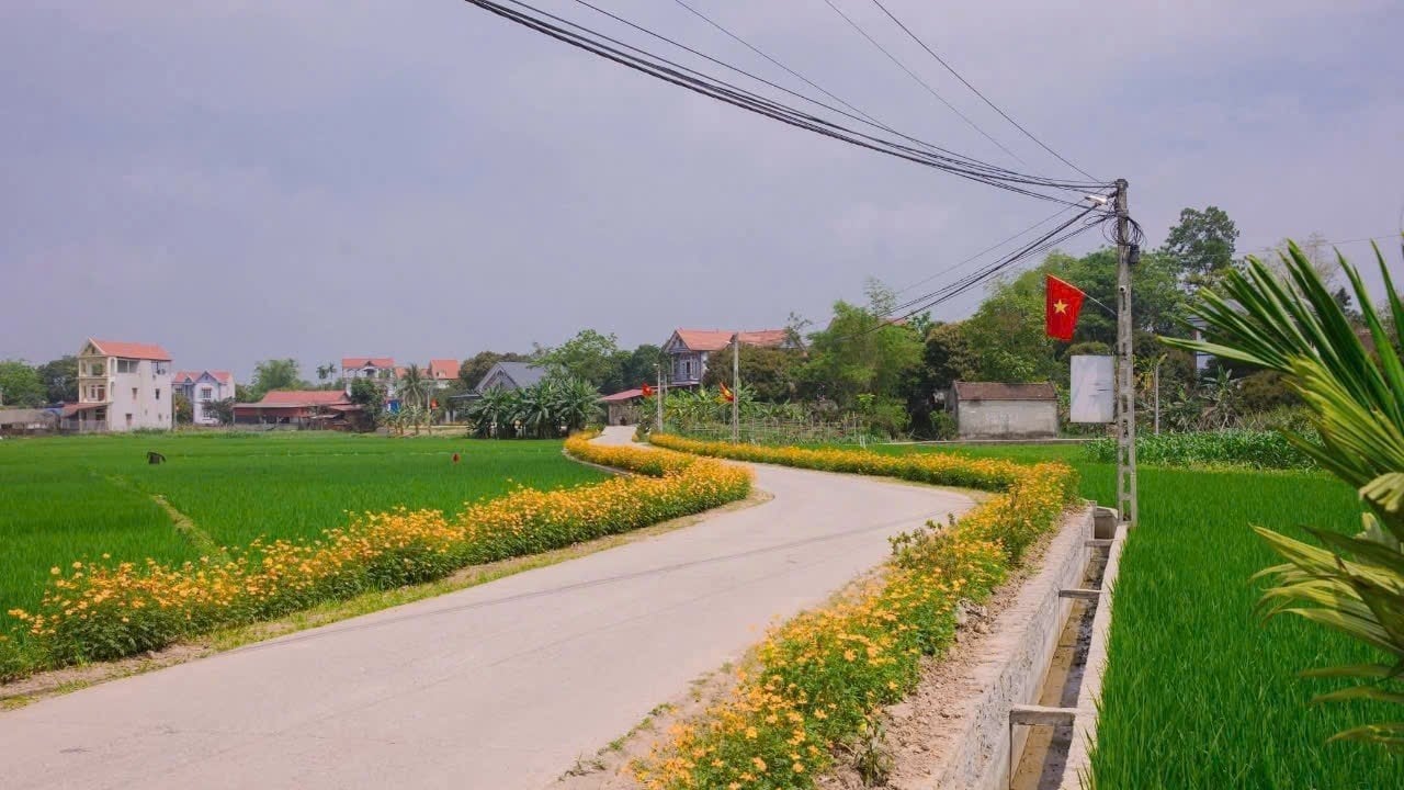 Phú Bình 2