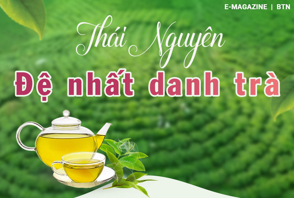 Chính sách hỗ trợ ngành chè Thái Nguyên – Tăng cường truyền thông kích cầu chính sách